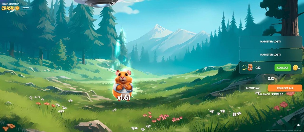 Crash games at online casinos